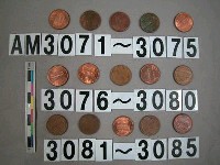 藏品(美國1分硬幣)的圖片